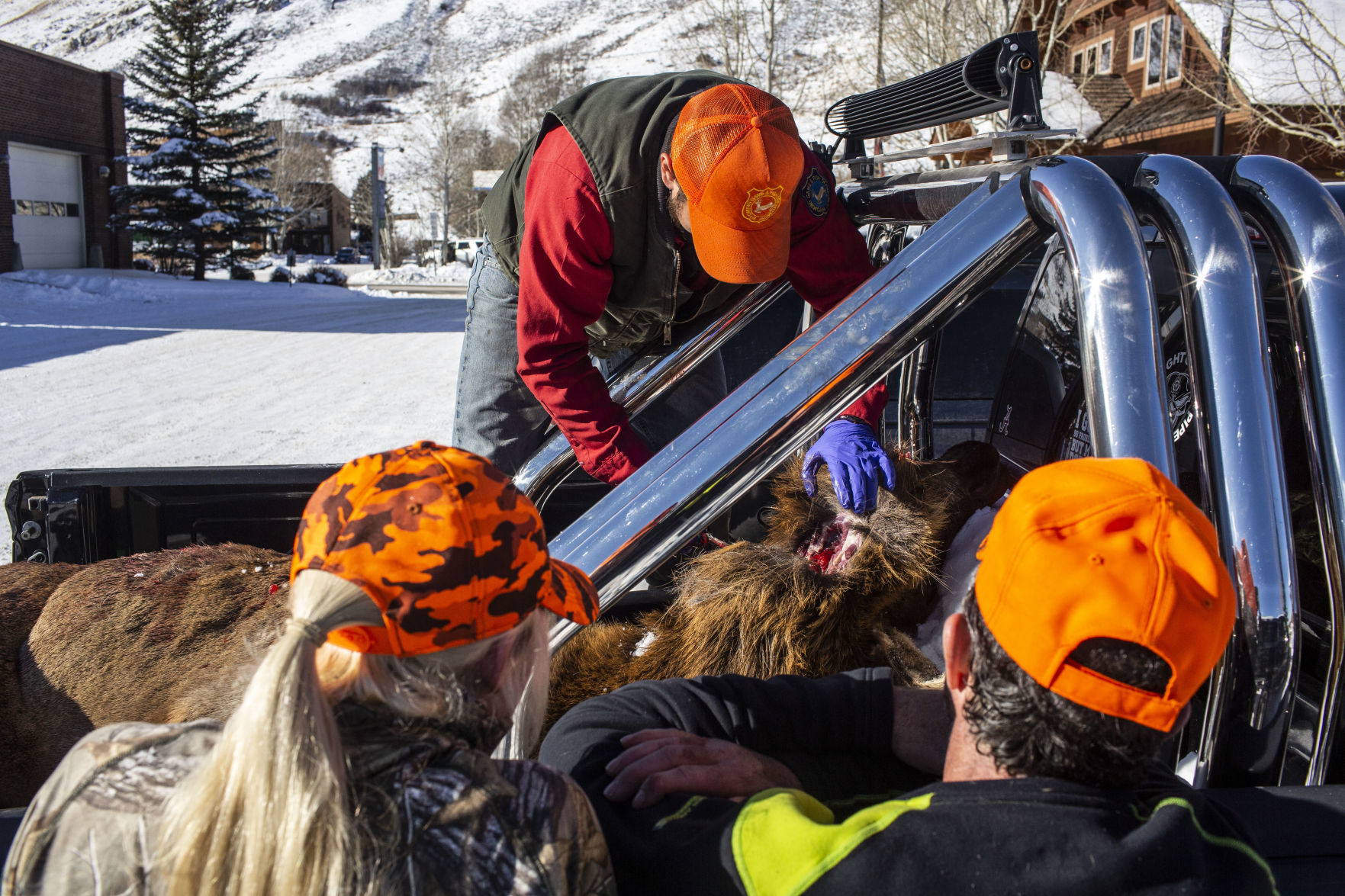 CWD reaches Jackson Hole